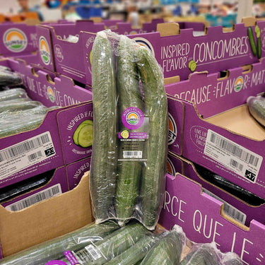 Image of Cucumber 3-Pack - 1 x 1.29 Kilos